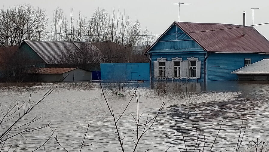 Уровень реки Урал в оренбургском селе превысил критический уровень на 23 см